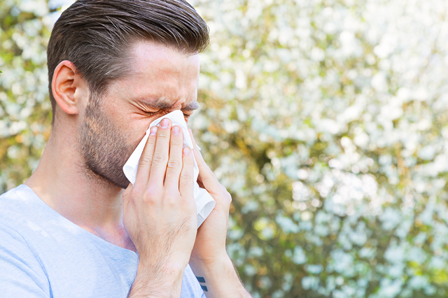 Pollen et allergie